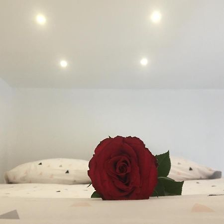 Lovely Studio بورج المظهر الخارجي الصورة