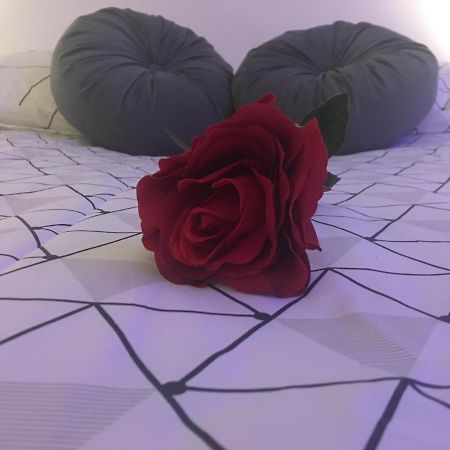 Lovely Studio بورج المظهر الخارجي الصورة